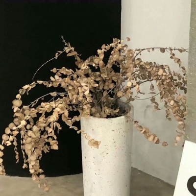 Furry绘画配色实用指南福瑞交流群